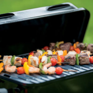 Kaasugrilli Weber Go-Anywhere