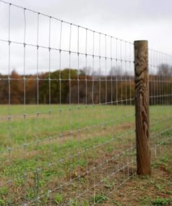 Laidunverkko 1x50m Premium Sinkitty