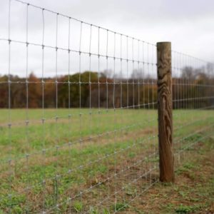 Laidunverkko 1x50m Premium Sinkitty