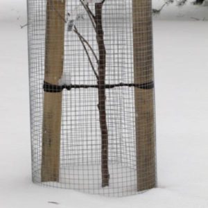 Sinkitty myyräverkko 1,20 x 2,50 m – pienisilmäinen (12,7 x 12,7 mm) hitsattu verkko myyrien ja pienjyrsijöiden torjuntaan. Kiinnitä huolellisesti maahan ja tue tarvittaessa talvikäyttöä varten.