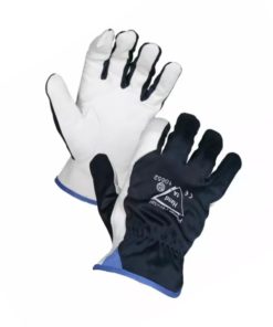 Työhanskat Talvi Pointer koko 9-11.5