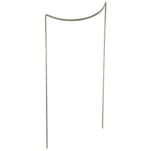 Pensas/perennatuki vihreä 70cm