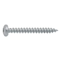 Fix Master yleisruuvi 4,0 × 30 mm – kupukanta, täyskierre, TX15, sinkitty, pakkaus 40 kpl. EAN 6417926295665.